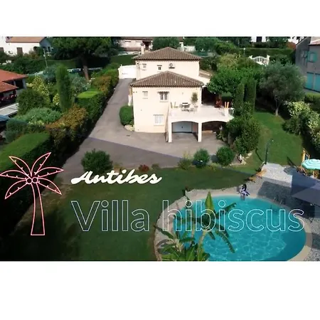 Hibiscus Vila *