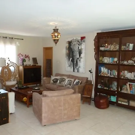 Hibiscus Vila *
